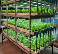 Puutarhanhoitoon käytetty kattomuovikalvo kasvihuonetila sisä-/ulkovarjostusjärjestelmällä