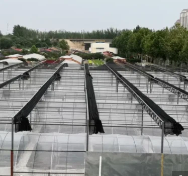 Vegetable Growing Anti-Dripping Film Greenhouse